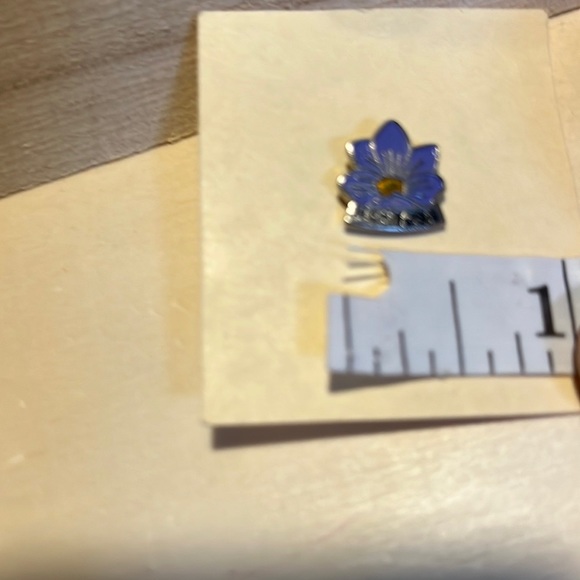 2/$10 Vintage manitoba , Canada  province enamel pin - Picture 2 of 4